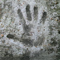 contact contact